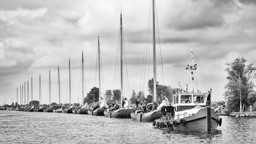 wedstrijden