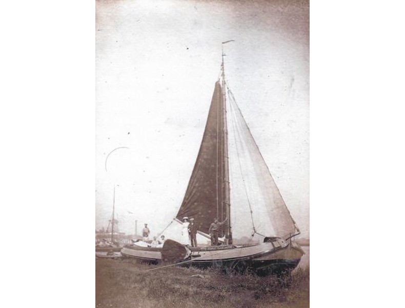 L 704 N Cosmopoliet_0