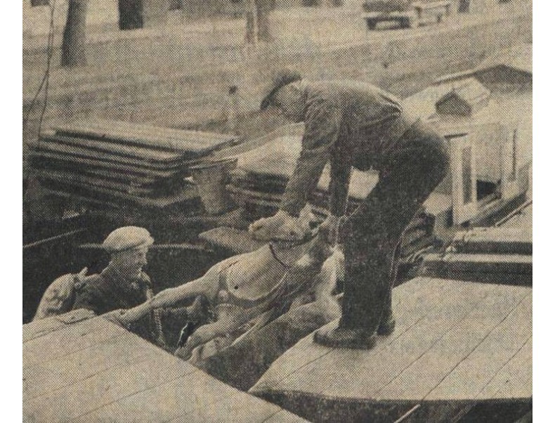 L 1083 N Broedertrouw_1