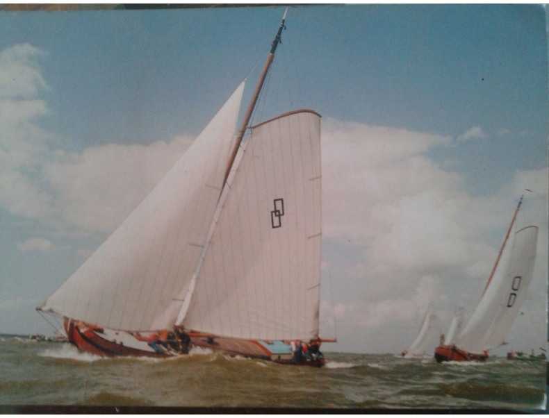L 2131 N De Hoop_0